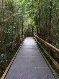 Footbridge amidst trees in forest