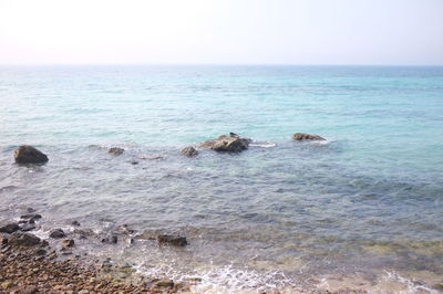 Scenic view of sea against clear sky