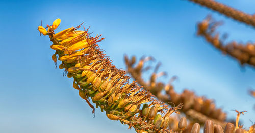 Low angle view of yellow statue against clear blue sky