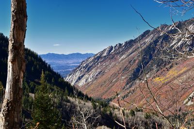 White pine lake trail salt lake valley in little cottonwood canyon, wasatch rocky mountain utah