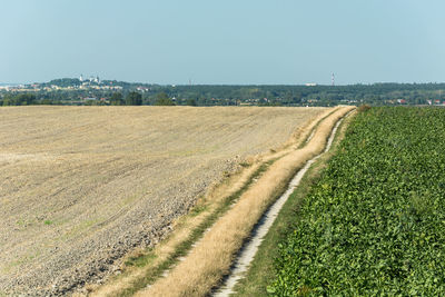 Dirt road separating the plowed field and beetroot field, the city of chelm in poland on the horizon