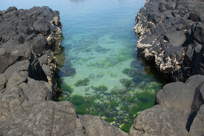 High angle view of rocks on shore