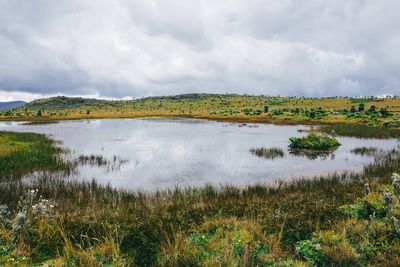 Scenic view of a pond in the 7 ponds trail of aberdare national park, kenya