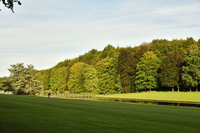 Trees on field against sky