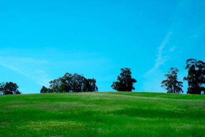 Scenic view of grassy field against cloudy sky