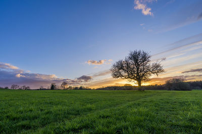 Scenic view of field against sky during sunset