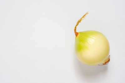 High angle view of lemon against white background