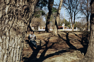 Man sitting amidst trees in forest