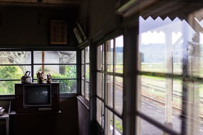 Plants seen through window