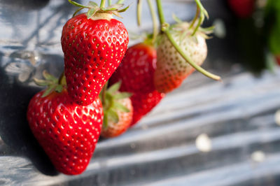 Close-up of strawberries on table