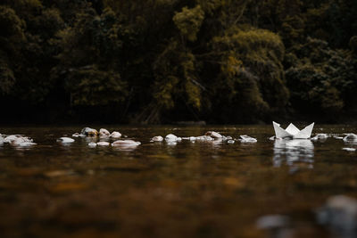 A paper boat on the lake