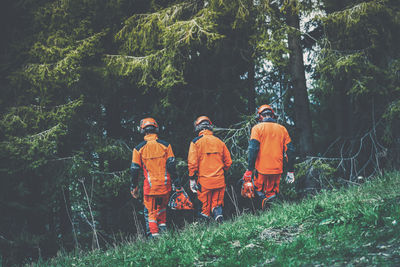 Men walking in the forest holding a chainsaw and tools. lumberjacks working outdoor in the forest