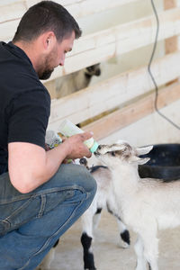 Side view of man feeding kid goat
