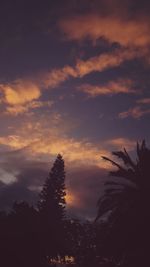 Silhouette trees against dramatic sky