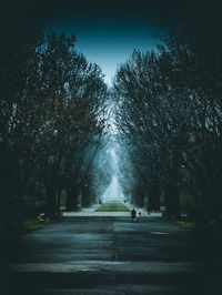 People walking on footpath by road in park