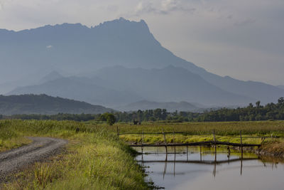 Scenic view of field by lake against sky