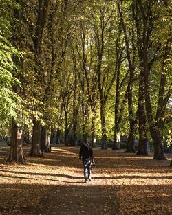 People walking on road in forest