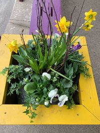 High angle view of potted plant