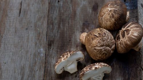 Close-up of mushrooms on table