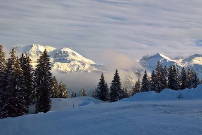 Scenic view of snowcapped mountains against sky