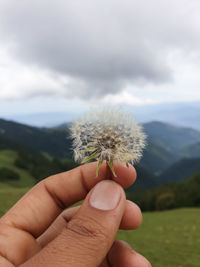 Cropped hand holding plant against sky