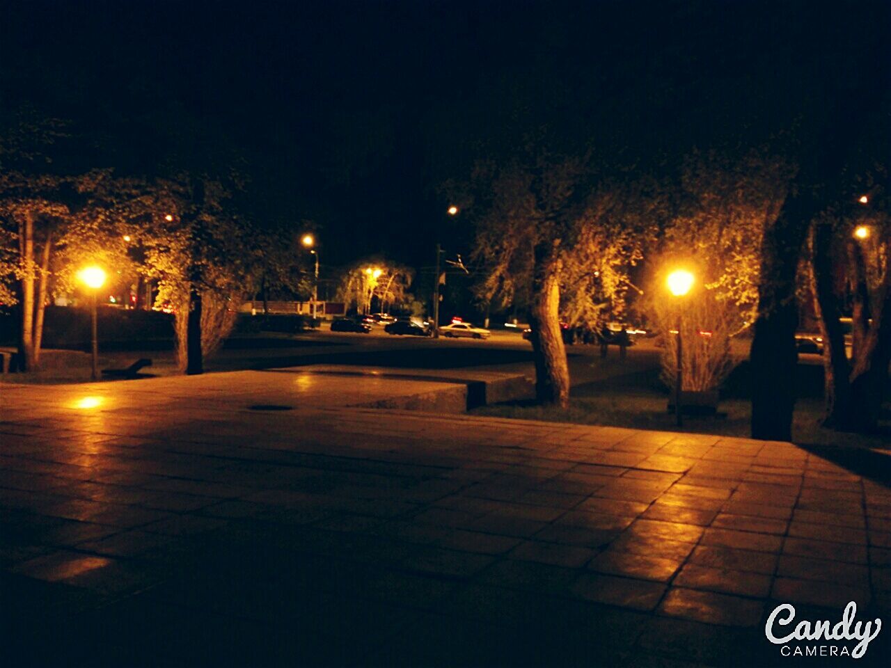 illuminated, night, street light, lighting equipment, street, the way forward, tree, road, transportation, city, empty, dark, sidewalk, outdoors, light - natural phenomenon, lamp post, sky, electric light, glowing, in a row