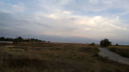 Scenic view of field against sky