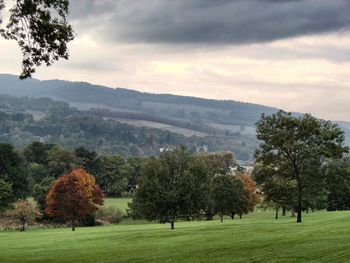 Scenic view of grassy field against cloudy sky