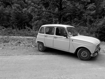 Vintage car on tree