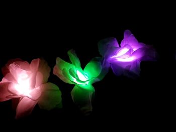 Digital composite image of illuminated flower against black background