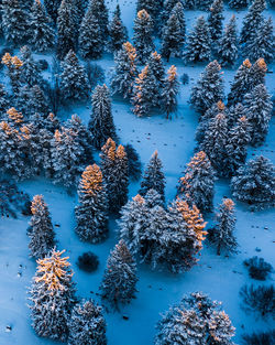 Aerial view of a cemetery during a cold winter sunset in montana. 