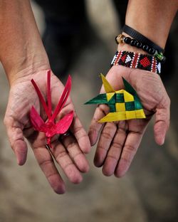 Close-up of woman holding hands