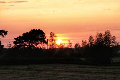 Silhouette trees on field against sky during sunset