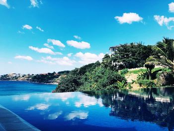 Trees by swimming pool against blue sky