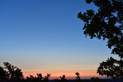 Low angle view of silhouette trees against sky during sunset