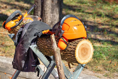 Standard safety, safety helmet and lumberjack overalls against the background of log on a sunny day.