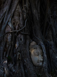 Statue of buddha in temple