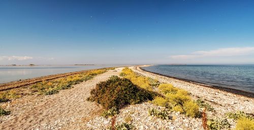 Scenic view of beach against sky