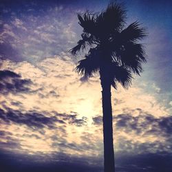 Low angle view of trees against cloudy sky