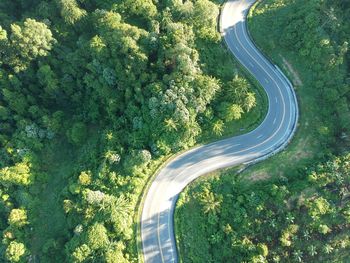 High angle view of road amidst trees
