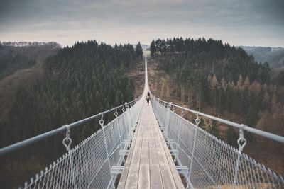Bridge in forest against sky