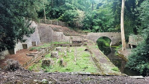 View of cemetery