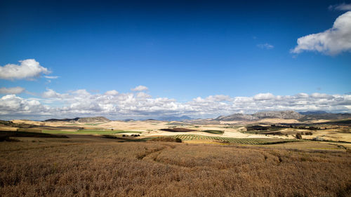 Scenic view of field against blue sky