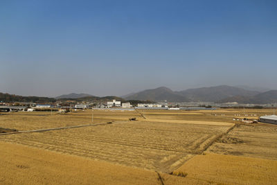 Scenic view of agricultural field against clear blue sky