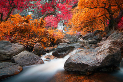 Stream through rocks in rainforest during autumn
