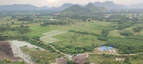 Scenic view of agricultural field