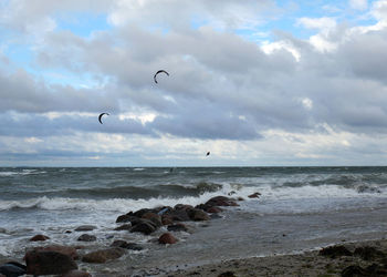 Birds flying over sea against cloudy sky