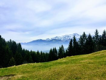 Scenic view of trees and mountains against sky