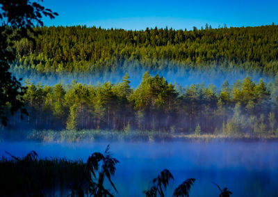 Scenic view of lake by trees against blue sky