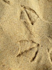 Close-up of footprints on sand at beach